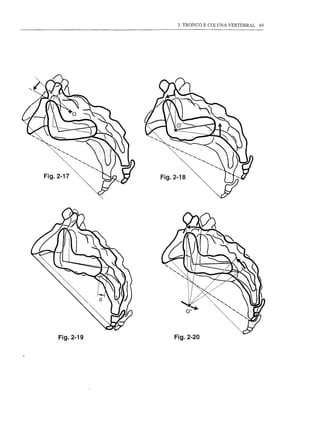 3. TRONCO E COLUNA VERTEBRAL   69




Fig.2-19   Fig.2-20
 