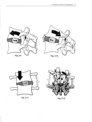3. TRONCO E COLUNA VERTEBRAL   83




Fig.3-9              Fig.3-10




          Fig.3-11              Fig.3-12
 