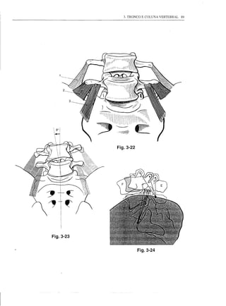 Fig.3-22




Fig.3-23


                      Fig.3-24
 