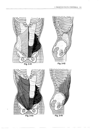 Fig.3-42




Fig.3-44
 