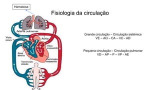 Fisiologia da circulação
Grande circulação – Circulação sistêmica
VE – AO – CA – VC - AD
Pequena circulação – Circulação pulmonar
VD – AP – P – VP - AE
Hematose
 