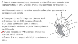 A figura a seguir esquematiza o coração de um mamífero, com suas câmaras
(representadas por letras), veias e artérias (representadas por algarismos).
Identifique cada parte do coração e assinale a alternativa que apresenta a
correspondência correta.
a) O sangue rico em O2 chega nas câmaras A e B.
b) O sangue rico em CO2 chega na câmara B.
c) Os vasos identificados por I, II e III são,
respectivamente, veia cava superior, artéria pulmonar
e artéria aorta.
d) O vaso indicado por IV traz sangue arterial dos
pulmões para o coração.
e) O vaso III leva o sangue arterial do coração para o
corpo.
 
