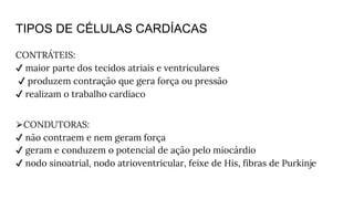 TIPOS DE CÉLULAS CARDÍACAS
CONTRÁTEIS:
✔ maior parte dos tecidos atriais e ventriculares
✔ produzem contração que gera força ou pressão
✔ realizam o trabalho cardíaco
⮚CONDUTORAS:
✔ não contraem e nem geram força
✔ geram e conduzem o potencial de ação pelo miocárdio
✔ nodo sinoatrial, nodo atrioventricular, feixe de His, fibras de Purkinje
 