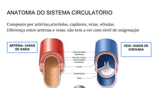 ANATOMIA DO SISTEMA CIRCULATÓRIO
Composto por artérias,arteríolas, capilares, veias, vênulas.
Diferença entre artérias e veias: não tem a ver com nível de oxigenação
ARTÉRIA- VASOS
DE SAÍDA
VEIA- VASOS DE
CHEGADA
 