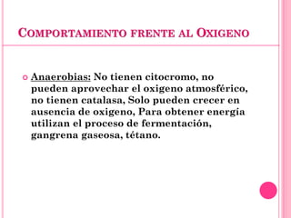 COMPORTAMIENTO FRENTE AL OXIGENO
 Anaerobias: No tienen citocromo, no
pueden aprovechar el oxigeno atmosférico,
no tienen catalasa, Solo pueden crecer en
ausencia de oxigeno, Para obtener energía
utilizan el proceso de fermentación,
gangrena gaseosa, tétano.
 