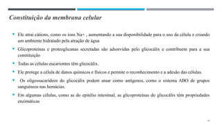 Constituição da membrana celular
 Ele atrai cátions, como os íons Na+ , aumentando a sua disponibilidade para o uso da célula e criando
um ambiente hidratado pela atração de água
 Glicoproteínas e proteoglicanas secretadas são adsorvidas pelo glicocálix e contribuem para a sua
constituição
 Todas as células eucariontes têm glicocálix.
 Ele protege a célula de danos químicos e físicos e permite o reconhecimento e a adesão das células.
 Os oligossacarídeos do glicocálix podem atuar como antígenos, como o sistema ABO de grupos
sanguíneos nas hemácias.
 Em algumas células, como as do epitélio intestinal, as glicoproteínas do glicocálix têm propriedades
enzimáticas
10
 