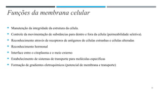 Funções da membrana celular
 Manutenção da integridade da estrutura da célula.
 Controle da movimentação de substâncias para dentro e fora da célula (permeabilidade seletiva).
 Reconhecimento através de receptores de antígenos de células estranhas e células alteradas
 Reconhecimento hormonal
 Interface entre o citoplasma e o meio externo
 Estabelecimento de sistemas de transporte para moléculas específicas
 Formação de gradientes eletroquímicos (potencial de membrana e transporte)
12
 