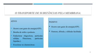 O TRANSPORTE DE SUBSTÂNCIAS PELA MEMBRANA.
ATIVO
 Ocorre com gasto de energia(ATP).
 Bomba de sódio e potássio.
 Endocitose (fagocitose, partículas
sólidas. Pinocitose, partículas
líquidas.).
 Exocitose ou clasmocitose.
14
PASSIVO
 Ocorre sem gasto de energia(ATP).
 Osmose, difusão, e difusão facilitada
 