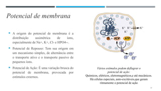 Potencial de membrana
 A origem do potencial de membrana é a
distribuição assimétrica de íons,
especialmente de Na+, K+, Cl- e HPO4--.
 Potencial de Repouso: Tem sua origem em
um mecanismo simples, de alternância entre
o transporte ativo e o transporte passivo de
pequenos íons.
 Potencial de Ação: É uma variação brusca do
potencial de membrana, provocada por
estímulos externos.
17
Vários estímulos podem deflagrar o
potencial de ação:
Químicos, elétricos, eletromagnéticos,e até mecânicos.
Há células especiais, auto-excitáveis,que geram
ritmamente o potencial de ação
 