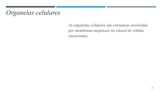 Organelas celulares
As organelas celulares são estruturas envolvidas
por membrana suspensas no citosol de células
eucariontes.
19
 