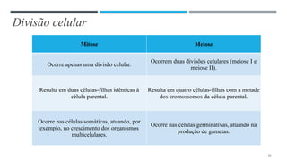 Divisão celular
22
Mitose Meiose
Ocorre apenas uma divisão celular.
Ocorrem duas divisões celulares (meiose I e
meiose II).
Resulta em duas células-filhas idênticas à
célula parental.
Resulta em quatro células-filhas com a metade
dos cromossomos da célula parental.
Ocorre nas células somáticas, atuando, por
exemplo, no crescimento dos organismos
multicelulares.
Ocorre nas células germinativas, atuando na
produção de gametas.
 