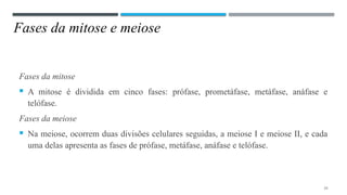 Fases da mitose e meiose
Fases da mitose
 A mitose é dividida em cinco fases: prófase, prometáfase, metáfase, anáfase e
telófase.
Fases da meiose
 Na meiose, ocorrem duas divisões celulares seguidas, a meiose I e meiose II, e cada
uma delas apresenta as fases de prófase, metáfase, anáfase e telófase.
23
 