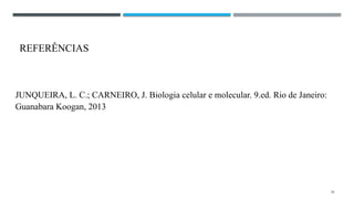 REFERÊNCIAS
JUNQUEIRA, L. C.; CARNEIRO, J. Biologia celular e molecular. 9.ed. Rio de Janeiro:
Guanabara Koogan, 2013
24
 