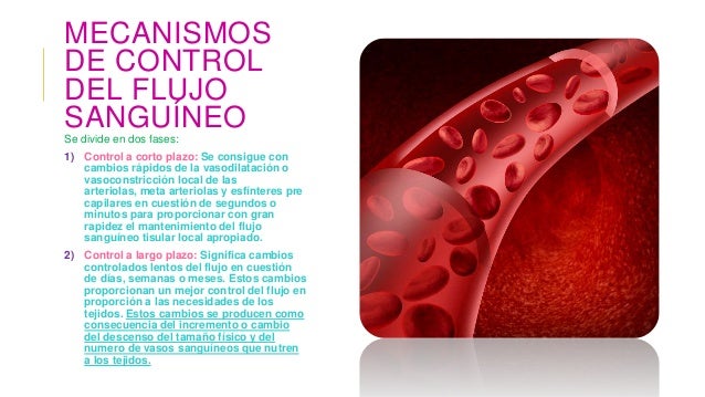 Resultado de imagen para Mecanismos de control del flujo sanguÃneo