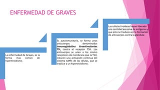 ENFERMEDAD DE GRAVES
La enfermedad de Graves, es la
forma mas común de
hipertiroidismo.
Es autoinmunitaria, se forma unos
anticuerpos denominados
inmunoglobulina tiroestimulantes
TSI, contra el receptor TSH. Los
anticuerpos se unen a los mismo
receptores de membrana que la TSH,
inducen una activación continua del
sistema AMPc de las células, que se
traduce a un hipertiroidismo.
Las células tiroideas hayan liberado
una cantidad excesiva de antígenos y
que esto se traduzca en la formación
de anticuerpos contra la glándula
 