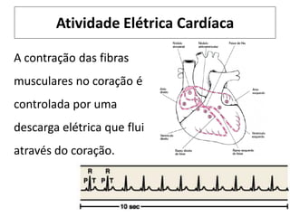 Atividade Elétrica Cardíaca
A contração das fibras
musculares no coração é
controlada por uma
descarga elétrica que flui
através do coração.
 
