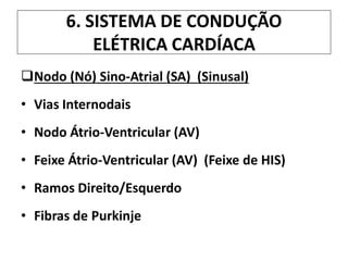6. SISTEMA DE CONDUÇÃO
ELÉTRICA CARDÍACA
Nodo (Nó) Sino-Atrial (SA) (Sinusal)
• Vias Internodais
• Nodo Átrio-Ventricular (AV)
• Feixe Átrio-Ventricular (AV) (Feixe de HIS)
• Ramos Direito/Esquerdo
• Fibras de Purkinje
 