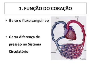 1. FUNÇÃO DO CORAÇÃO
• Gerar o fluxo sanguíneo
• Gerar diferença de
pressão no Sistema
Circulatório
 