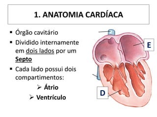 1. ANATOMIA CARDÍACA
 Órgão cavitário
 Dividido internamente
em dois lados por um
Septo
 Cada lado possui dois
compartimentos:
 Átrio
 Ventrículo
D
E
 