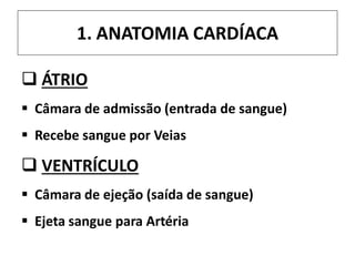 1. ANATOMIA CARDÍACA
 ÁTRIO
 Câmara de admissão (entrada de sangue)
 Recebe sangue por Veias
 VENTRÍCULO
 Câmara de ejeção (saída de sangue)
 Ejeta sangue para Artéria
 