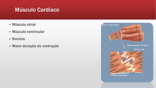 Músculo Cardíaco
 Músculo atrial
 Músculo ventricular
 Sincício
 Maior duração de contração
 