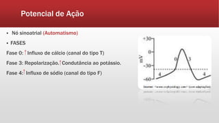Potencial de Ação
 Nó sinoatrial (Automatismo)
 FASES
Fase 0: Influxo de cálcio (canal do tipo T)
Fase 3: Repolarização. Condutância ao potássio.
Fase 4: Influxo de sódio (canal do tipo F)
 
