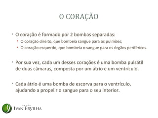 O CORAÇÃO

• O coração é formado por 2 bombas separadas:
  • O coração direito, que bombeia sangue para os pulmões;
  • O coração esquerdo, que bombeia o sangue para os órgãos periféricos.


• Por sua vez, cada um desses corações é uma bomba pulsátil
  de duas câmaras, composta por um átrio e um ventrículo.

• Cada átrio é uma bomba de escorva para o ventrículo,
  ajudando a propelir o sangue para o seu interior.
 