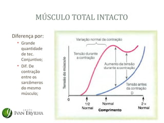 MÚSCULO TOTAL INTACTO

Diferença por:
  • Grande
    quantidade
    de tec.
    Conjuntivo;
  • Dif. De
    contração
    entre os
    sarcômeros
    do mesmo
    músculo;
 