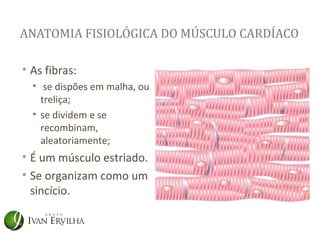 ANATOMIA FISIOLÓGICA DO MÚSCULO CARDÍACO

• As fibras:
  • se dispões em malha, ou
    treliça;
  • se dividem e se
    recombinam,
    aleatoriamente;
• É um músculo estriado.
• Se organizam como um
  sincício.
 