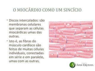 O MIOCÁRDIO COMO UM SINCÍCIO

• Discos intercalados: são
  membranas celulares
  que separam as células
  miocárdicas umas das
  outras.
• Isto é, as fibras do
  músculo cardíaco são
  feitas de muitas células
  individuais, conectadas
  em série e em paralelo,
  umas com as outras.
 