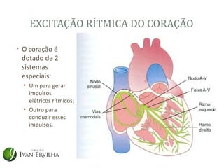 EXCITAÇÃO RÍTMICA DO CORAÇÃO

• O coração é
  dotado de 2
  sistemas
  especiais:
  • Um para gerar
    impulsos
    elétricos rítmicos;
  • Outro para
    conduzir esses
    impulsos.
 