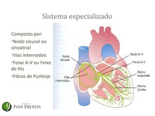 Sistema especializado

Composto por:
•Nodo sinusal ou
sinoatrial
•Vias internodais
•Feixe A-V ou Feixe
de His
•Fibras de Purkinje
 