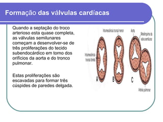 Formação das válvulas cardíacas
Quando a septação do troco
arterioso esta quase completa,
as válvulas semilunares
começam a desenvolver-se de
três proliferações do tecido
subendocárdico em torno dos
orifícios da aorta e do tronco
pulmonar.
Estas proliferações são
escavadas para formar três
cúspides de paredes delgada.
 