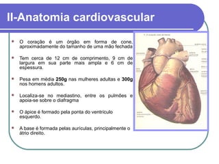 II-Anatomia cardiovascular
 O coração é um órgão em forma de cone,
aproximadamente do tamanho de uma mão fechada
 Tem cerca de 12 cm de comprimento, 9 cm de
largura em sua parte mais ampla e 6 cm de
espessura.
 Pesa em média 250g nas mulheres adultas e 300g
nos homens adultos.
 Localiza-se no mediastino, entre os pulmões e
apoia-se sobre o diafragma
 O ápice é formado pela ponta do ventrículo
esquerdo.
 A base é formada pelas aurículas, principalmente o
átrio direito.
 
