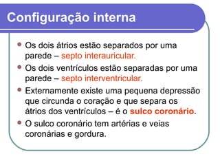 Configuração interna
 Os dois átrios estão separados por uma
parede – septo interauricular.
 Os dois ventrículos estão separadas por uma
parede – septo interventricular.
 Externamente existe uma pequena depressão
que circunda o coração e que separa os
átrios dos ventrículos – é o sulco coronário.
 O sulco coronário tem artérias e veias
coronárias e gordura.
 