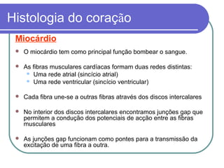 Histologia do coração
Miocárdio
 O miocárdio tem como principal função bombear o sangue.
 As fibras musculares cardíacas formam duas redes distintas:
 Uma rede atrial (sincício atrial)
 Uma rede ventricular (sincício ventricular)
 Cada fibra une-se a outras fibras através dos discos intercalares
 No interior dos discos intercalares encontramos junções gap que
permitem a condução dos potenciais de acção entre as fibras
musculares
 As junções gap funcionam como pontes para a transmissão da
excitação de uma fibra a outra.
 