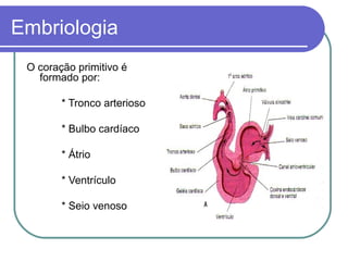 Embriologia
O coração primitivo é
formado por:
* Tronco arterioso
* Bulbo cardíaco
* Átrio
* Ventrículo
* Seio venoso
 