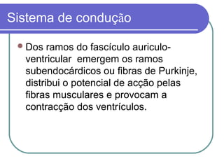 Sistema de condução
Dos ramos do fascículo auriculo-
ventricular emergem os ramos
subendocárdicos ou fibras de Purkinje,
distribui o potencial de acção pelas
fibras musculares e provocam a
contracção dos ventrículos.
 