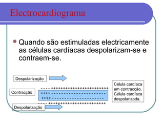 Quando são estimuladas electricamente
as células cardíacas despolarizam-se e
contraem-se.
++++ - - - - - - - - - - - - - - - - - - - - - -
++++ - - - - - - - - - - - - - - - - - - - - -
Célula cardíaca
em contracção.
Célula cardíaca
despolarizada.
- - - - ++++++++++++++++++++++++
- - - - ++++++++++++++++++++++++
Contracção
Despolarização
Despolarização
Electrocardiograma
 