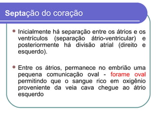 Septação do coração
 Inicialmente há separação entre os átrios e os
ventrículos (separação átrio-ventricular) e
posteriormente há divisão atrial (direito e
esquerdo).
 Entre os átrios, permanece no embrião uma
pequena comunicação oval - forame oval
permitindo que o sangue rico em oxigênio
proveniente da veia cava chegue ao átrio
esquerdo
 