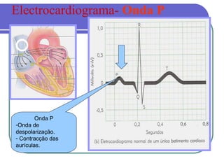 Onda P
-Onda de
despolarização.
- Contracção das
aurículas.
Electrocardiograma- Onda P
 
