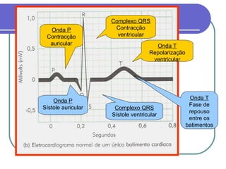 Onda P
Contracção
auricular
Complexo QRS
Contracção
ventricular
Onda T
Repolarização
ventricular
Onda P
Sístole auricular Complexo QRS
Sístole ventricular
Onda T
Fase de
repouso
entre os
batimentos
 