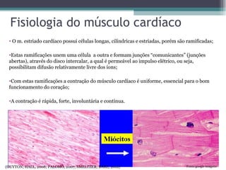Fisiologia do músculo cardíaco
• O m. estriado cardíaco possui células longas, cilíndricas e estriadas, porém são ramificadas;
•Estas ramificações unem uma célula a outra e formam junções “comunicantes” (junções
abertas), através do disco intercalar, a qual é permeável ao impulso elétrico, ou seja,
possibilitam difusão relativamente livre dos íons;
•Com estas ramificações a contração do músculo cardíaco é uniforme, essencial para o bom
funcionamento do coração;
•A contração é rápida, forte, involuntária e contínua.
(GUYTON; HALL, 2008; PALOMO, 2007; SMELTZER; BARE, 2012) Fonte:google imagens
 