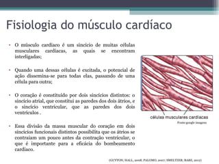Fisiologia do músculo cardíaco
• O músculo cardíaco é um sincício de muitas células
musculares cardíacas, as quais se encontram
interligadas;
• Quando uma dessas células é excitada, o potencial de
ação dissemina-se para todas elas, passando de uma
célula para outra;
• O coração é constituído por dois sincícios distintos: o
sincício atrial, que constitui as paredes dos dois átrios, e
o sincício ventricular, que as paredes dos dois
ventrículos .
• Essa divisão da massa muscular do coração em dois
sincícios funcionais distintos possibilita que os átrios se
contraiam um pouco antes da contração ventricular, o
que é importante para a eficácia do bombeamento
cardíaco.
(GUYTON; HALL, 2008; PALOMO, 2007; SMELTZER; BARE, 2012)
Fonte:google imagens
 