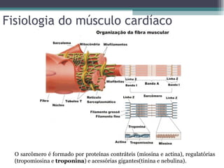 Fisiologia do músculo cardíaco
O sarcômero é formado por proteínas contráteis (miosina e actina), regulatórias
(tropomiosina e troponina) e acessórias gigantes(tinina e nebulina).
 