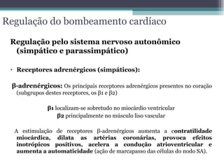 Regulação do bombeamento cardíaco
Regulação pelo sistema nervoso autonômico
(simpático e parassimpático)
• Receptores adrenérgicos (simpáticos):
β-adrenérgicos: Os principais receptores adrenérgicos presentes no coração
(subgrupos destes receptores, os β1 e β2)
β1 localizam-se sobretudo no miocárdio ventricular
β2 principalmente no músculo liso vascular
A estimulação de receptores β-adrenérgicos aumenta a contratilidade
miocárdica, dilata as artérias coronárias, provoca efeitos
inotrópicos positivos, acelera a condução atrioventricular e
aumenta a automaticidade (ação de marcapasso das células do nodo SA).
 