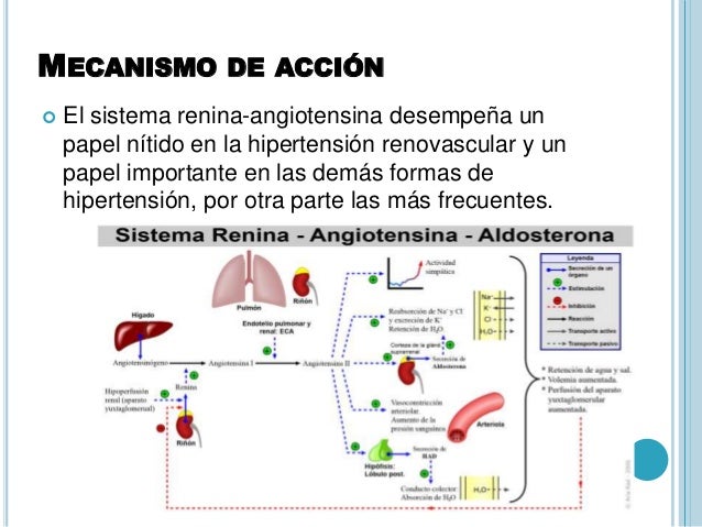 Fisiologia cardiaca y farmacos en cardiologia