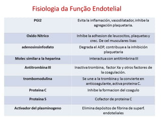Fisiologia da Função Endotelial
 