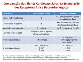 Comparação dos Efeitos Cardiovasculares da Estimulação
dos Receptores Alfa e Beta-Adrenérgicos
Parâmetro Mediado pelo Alfa1 Mediado pelo Beta
Efeitos eletrofisiológicos ±
++ Condução; marca-passo;
frequência cardíaca
Mecânica do miocárdio ±
++ Contratilidade; volume
sistólico; débito cardíaco
Metabolismo miocárdio ±; glicólise ++  Consumo de O2; ATP
Sistemas de sinalização
Acoplado ao GPCR pode
ativar MAP quinase
Arteríolas coronárias ++ Constrição
+ Dilatação
+++ Dilatação indireta
(metabólica)
Arteríolas periféricas
+++ Constrição
 RVP
 PAS
+ Dilatação
 RVP
 PAS
± = efeito variável; + = efeito claro, positivo; ++ = efeito potencializador, positivo; +++ = efeito máximo, positivo.
RVP = resistêcia vascular periférica; PAS = pressão arterial sistólica; GPCR = receptor acoplado à proteína G.
Modificado de Opie LH: heart Physiology: From Cell to Circulation. 4th ed. Philadelphia, Lippincontt Williams & Wilkins, 2004.
 