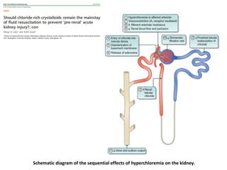 Schematic diagram of the sequential effects of hyperchloremia on the kidney.
 